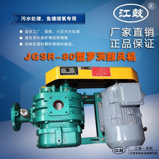 羅茨鼓風(fēng)機(jī)JGSR-80型